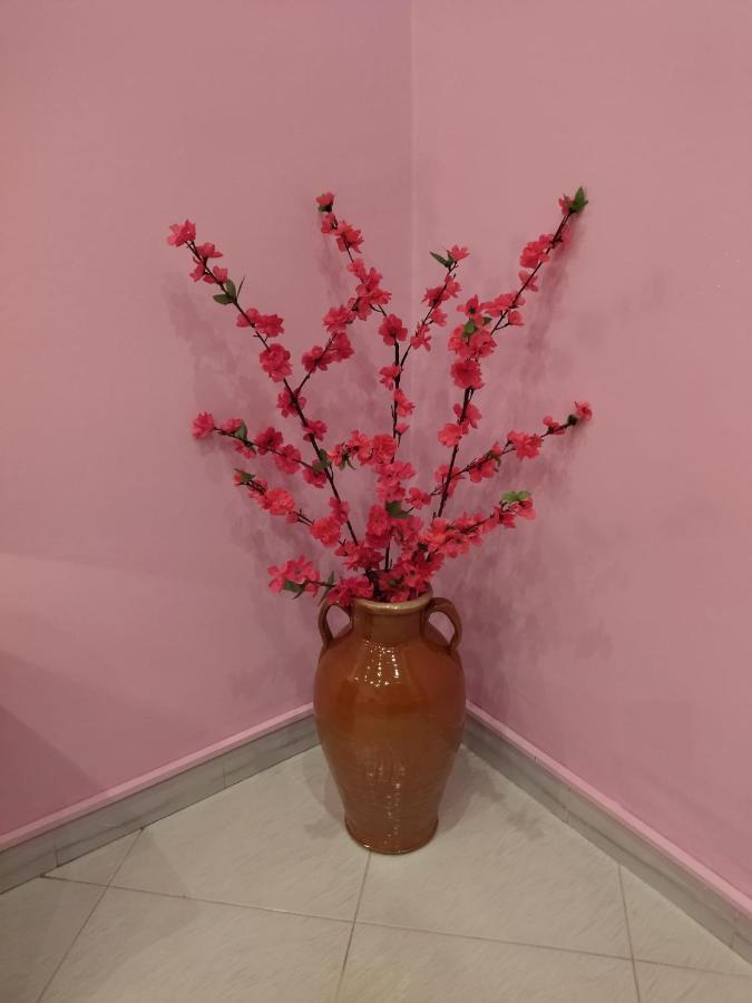 Nonno Ciccio Lizzano (Apulia)